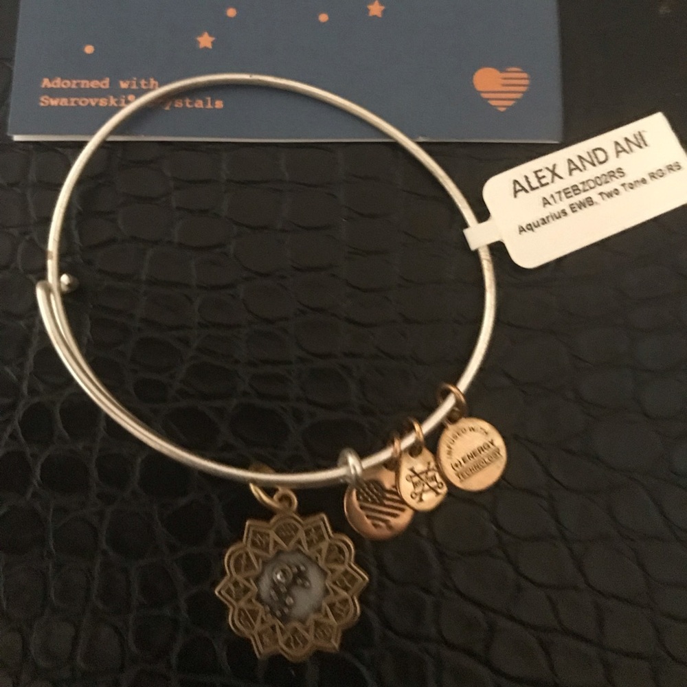 Alex and Ani Aquarius Bracelet